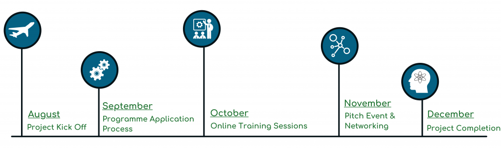 Quantum Investor Mentorship Programme timeline